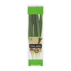 SPRING ONIONS